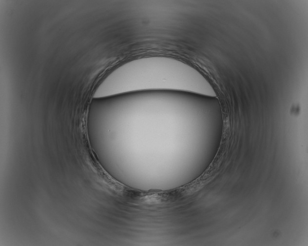X0000090980423200708021145