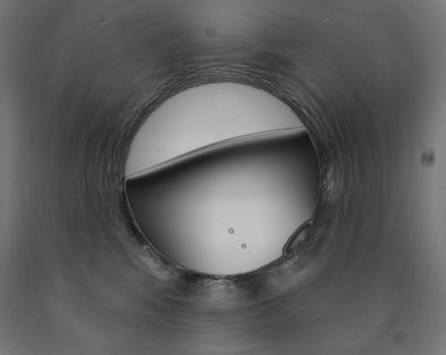 X0000090980424200708021145