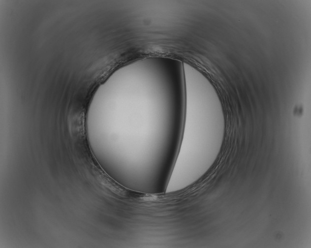 X0000090980425200708021145