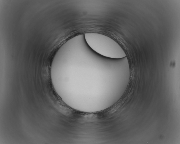 X0000090980426200708021145