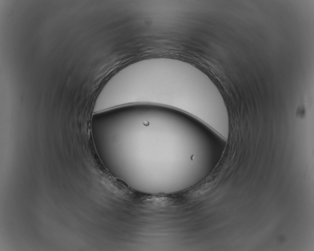 X0000090980428200708021145