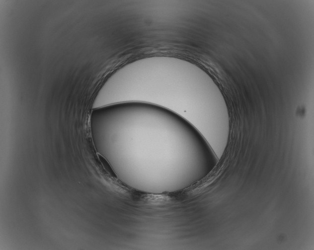 X0000090980429200708021145