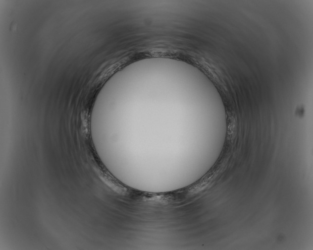 X0000090980430200708021145