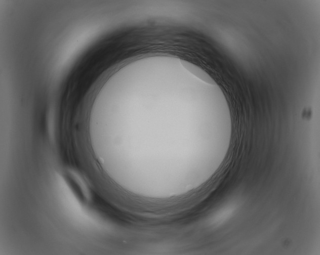 X0000090980431200708021145