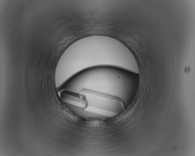 X0000090980432200708021145