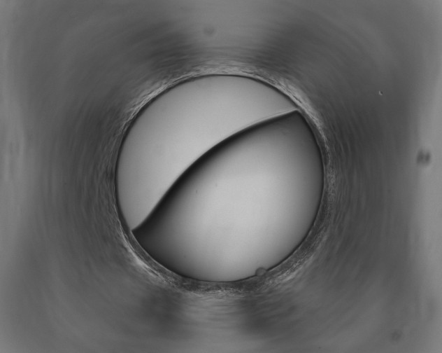 X0000090980433200708021144