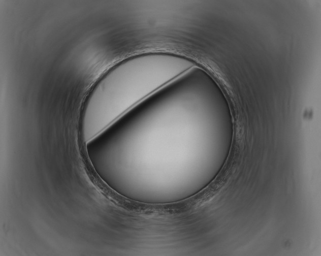 X0000090980434200708021144