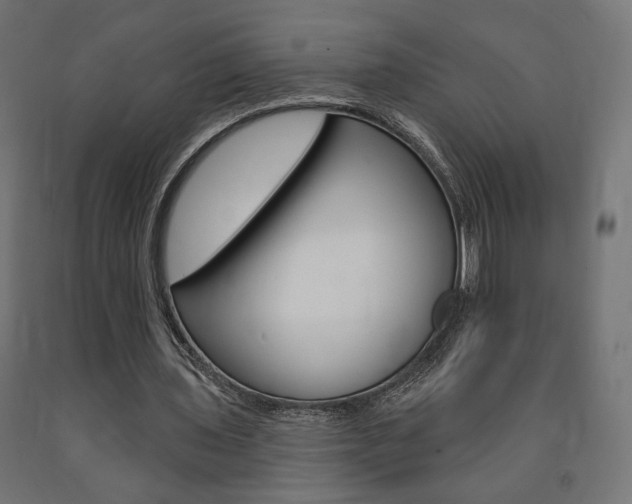 X0000090980435200708021144