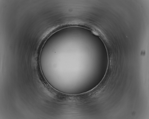 X0000090980436200708021145