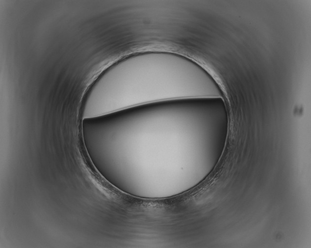 X0000090980437200708021145