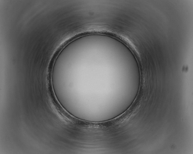 X0000090980439200708021145