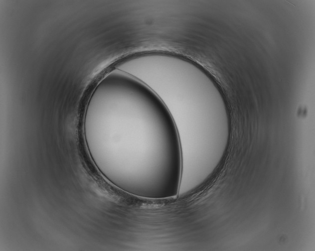 X0000090980440200708021145