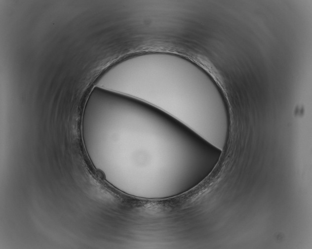 X0000090980441200708021145