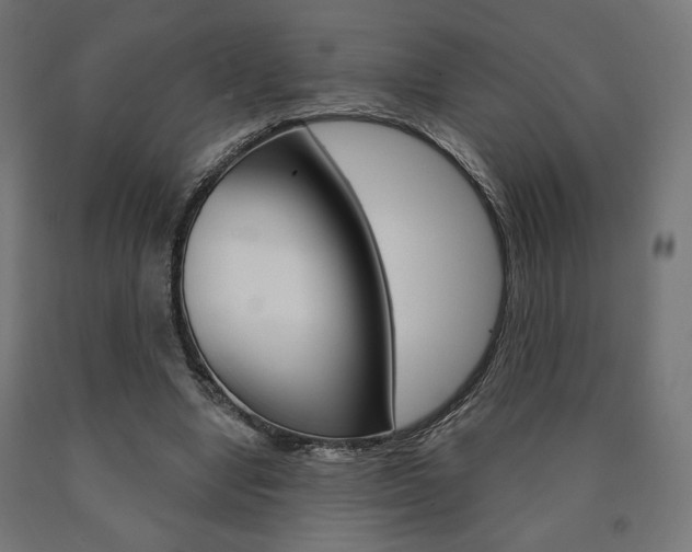 X0000090980442200708021145