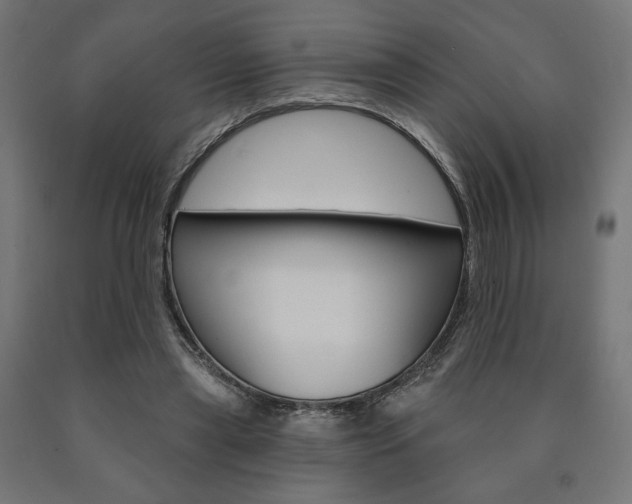 X0000090980445200708021145