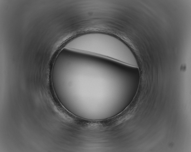 X0000090980446200708021145