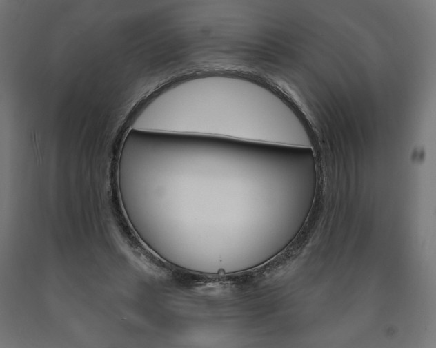 X0000090980447200708021145