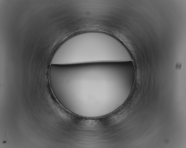 X0000090980449200708021145