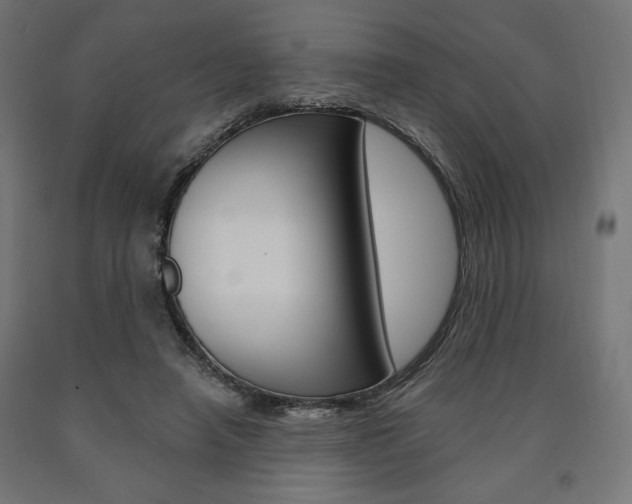X0000090980450200708021145