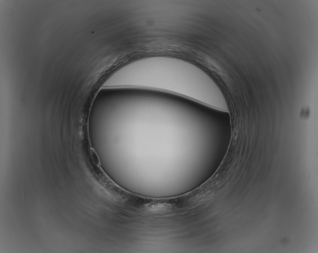 X0000090980452200708021145