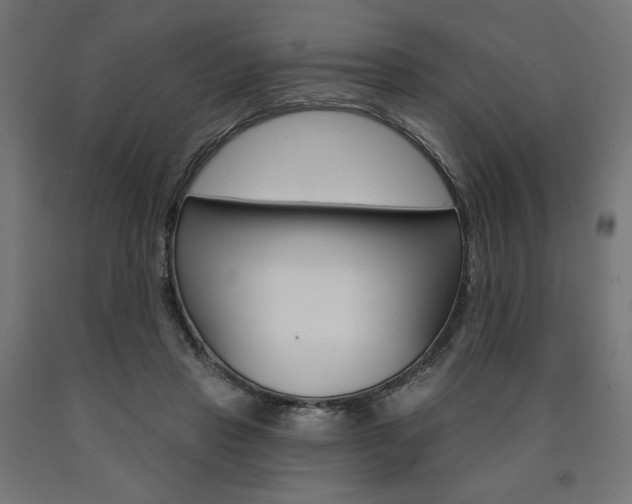 X0000090980453200708021145