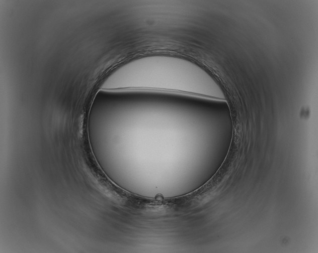 X0000090980454200708021145