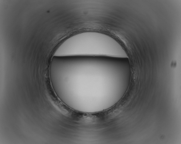 X0000090980455200708021145