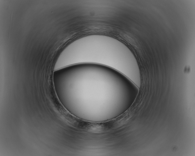 X0000090980456200708021145