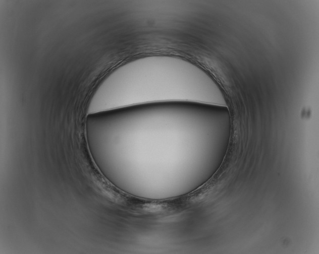 X0000090980457200708021145