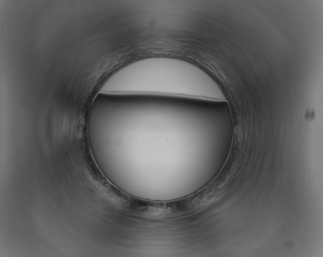 X0000090980458200708021145