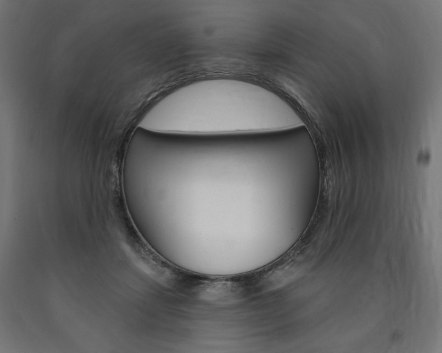 X0000090980459200708021145
