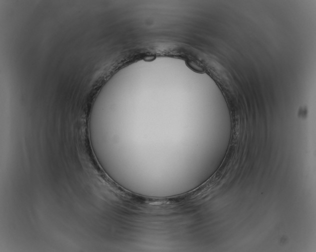 X0000090980461200708021145