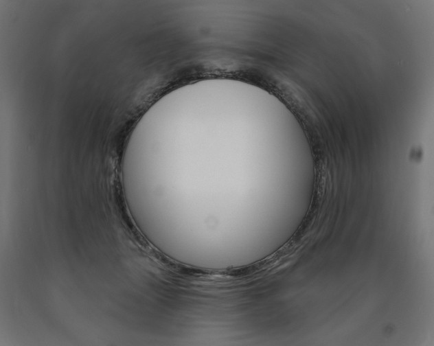 X0000090980463200708021145