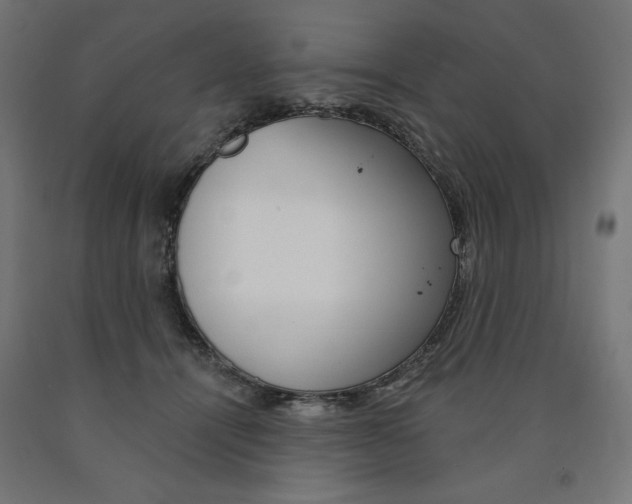 X0000090980464200708021145
