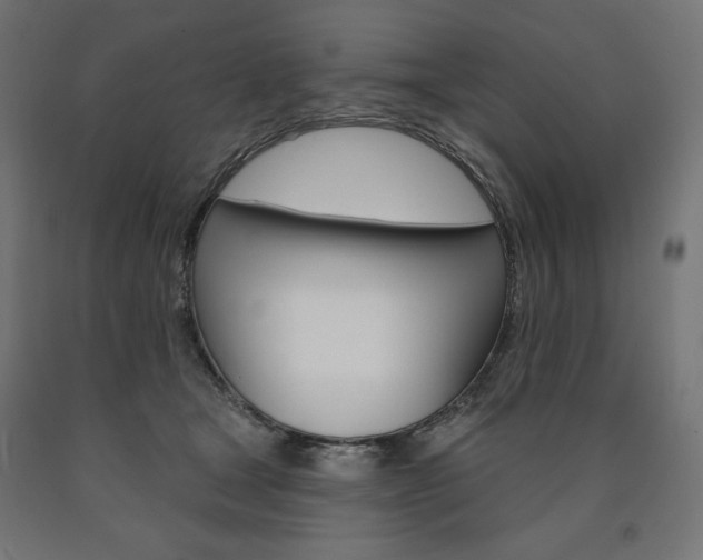 X0000090980465200708021145