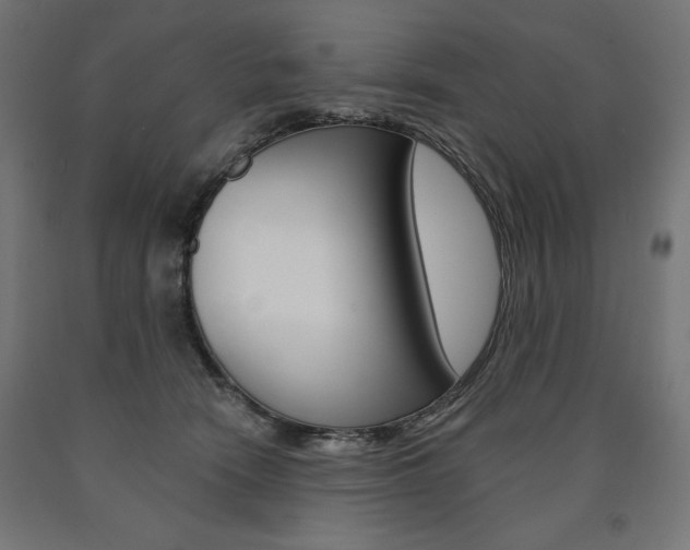 X0000090980466200708021145