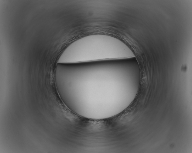 X0000090980469200708021145
