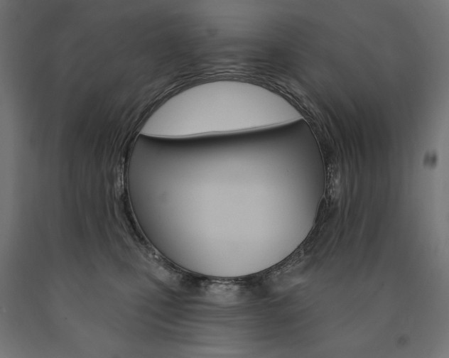 X0000090980471200708021145
