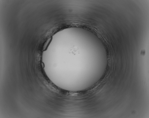 X0000090980472200708021145