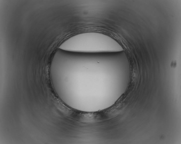 X0000090980473200708021145