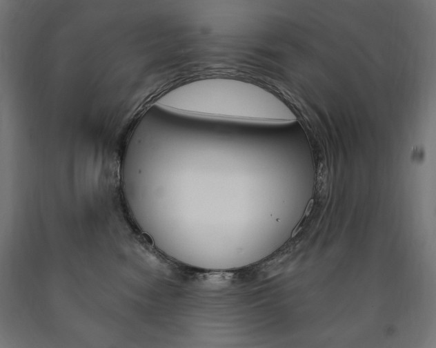 X0000090980474200708021145