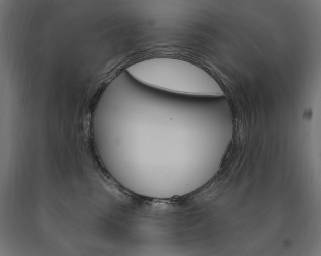 X0000090980475200708021145