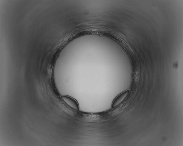 X0000090980476200708021145