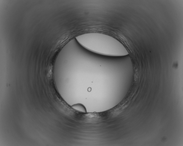 X0000090980477200708021145