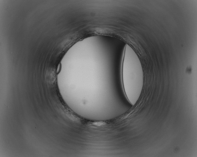 X0000090980478200708021145
