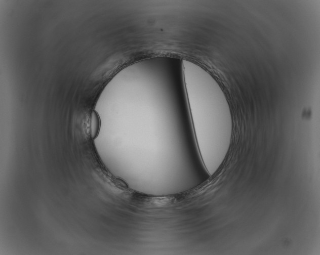 X0000090980479200708021145