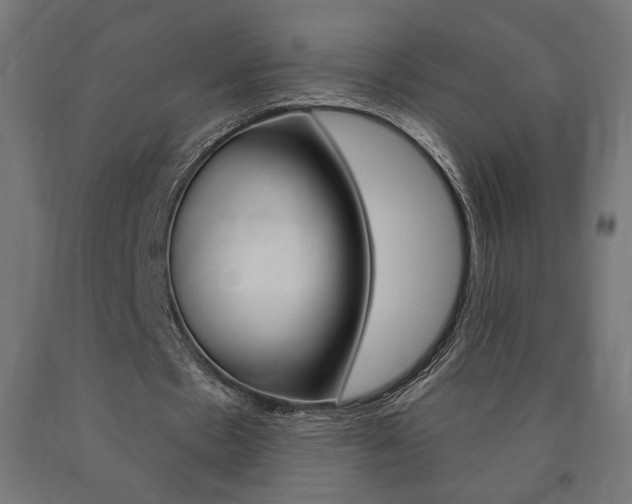 X0000090980481200708021144