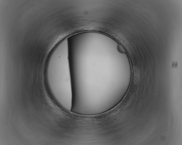 X0000090980482200708021144