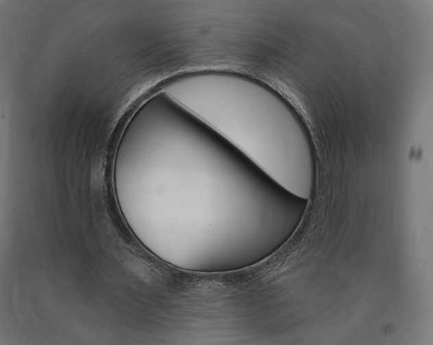 X0000090980483200708021144