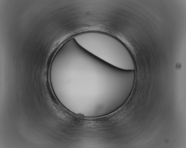 X0000090980486200708021144